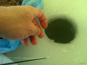 IMG_20180203_112507_483[1].jpg