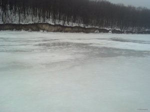IMG_20180203_143732_354[1].jpg