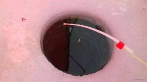20180203_110022.jpg