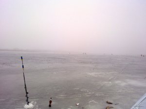030220181954.jpg