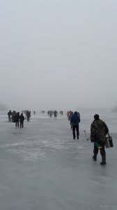 20180203_075738.jpg