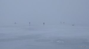 IMG_20180203_152324.jpg