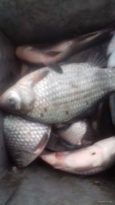 20180203_155113.jpg