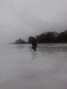 IMG_20180204_094319.jpg