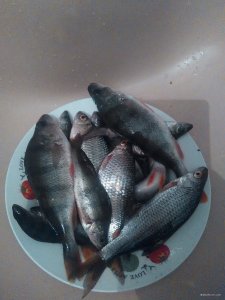 IMG_20180204_181303.jpg