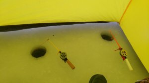 IMG_20180202_091809.jpg