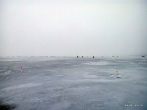P80203-131011.jpg