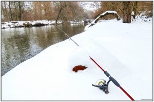 IMG_8065.JPG