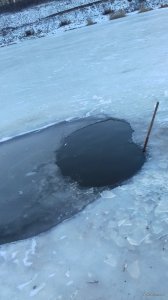 20180205_161134.jpg