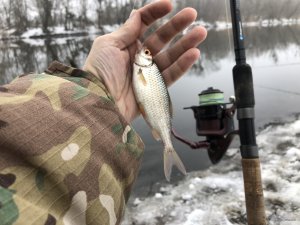 IMG_0125.JPG