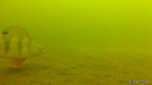 vlcsnap-2018-02-06-07h46m07s56.jpg