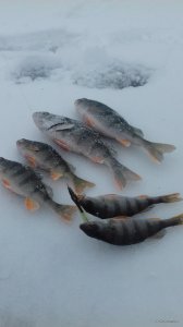 20180119_115503.jpg