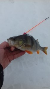 20180202_113957.jpg
