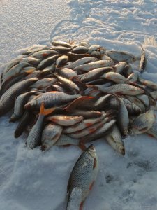 IMG_20180207_155625.jpg