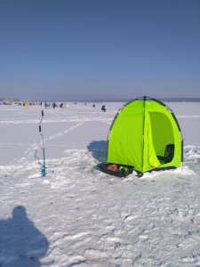 IMG_20180207_121059.jpg