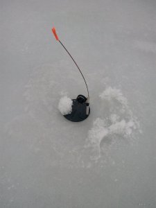 IMG_20180205_074044.jpg