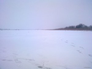100220181971.jpg