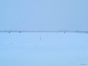 100220181974.jpg