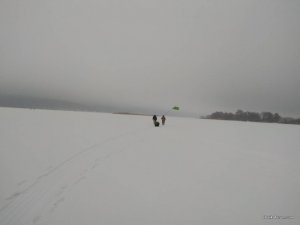IMG_20180210_072226.jpg