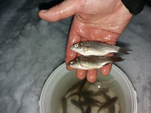 20180211_062755.jpg