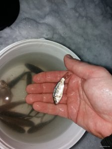 20180211_062852.jpg
