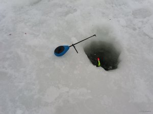 20180211_083248.jpg