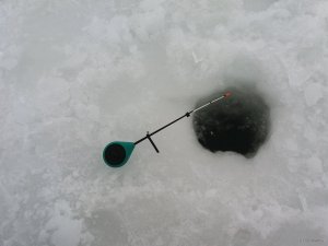 20180211_083254.jpg