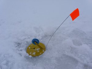 20180211_090712.jpg