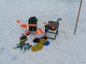 20180211_115219.jpg