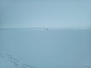 IMG_20180210_161807.jpg