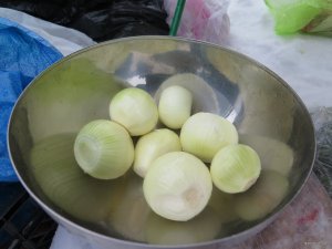 IMG_8896.JPG
