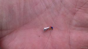20180211_103817.jpg