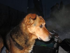 IMG_9058.JPG