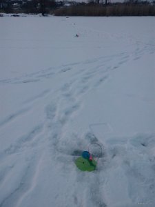 IMG_20180212_065744.jpg