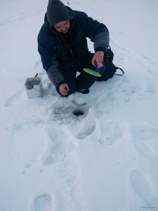 IMG_20180212_065943.jpg