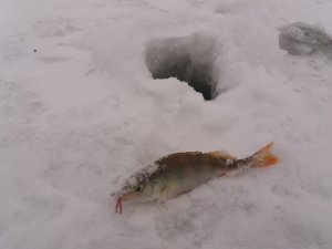 20180212_163519.jpg