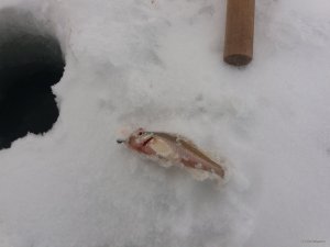 20180212_161129.jpg