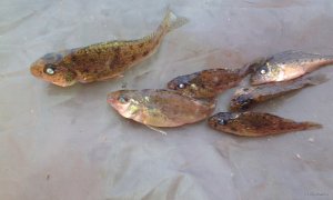 IMG_20180212_153810.jpg