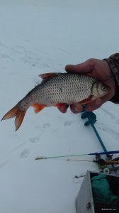 20180214_144035.jpg