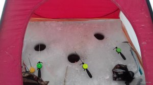20180215_094842.jpg