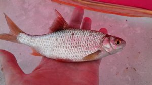 20180215_093900.jpg