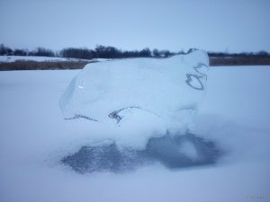 IMG_20180214_071430.jpg