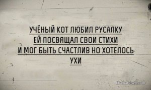 8BXl8fREORc.jpg