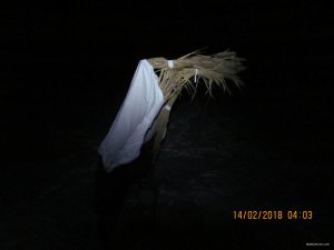 IMG_5078.JPG