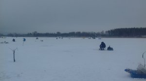 20180217_084833.jpg