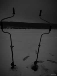 IMG_20180218_073301.jpg