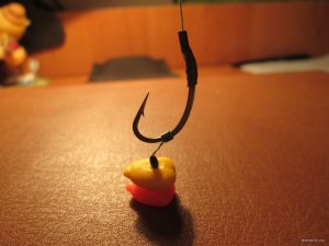 IMG_2321.JPG