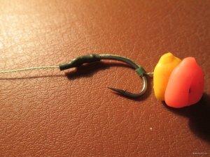 IMG_2323.JPG