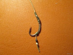 IMG_2319.JPG
