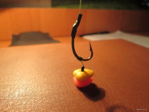 IMG_2322.JPG